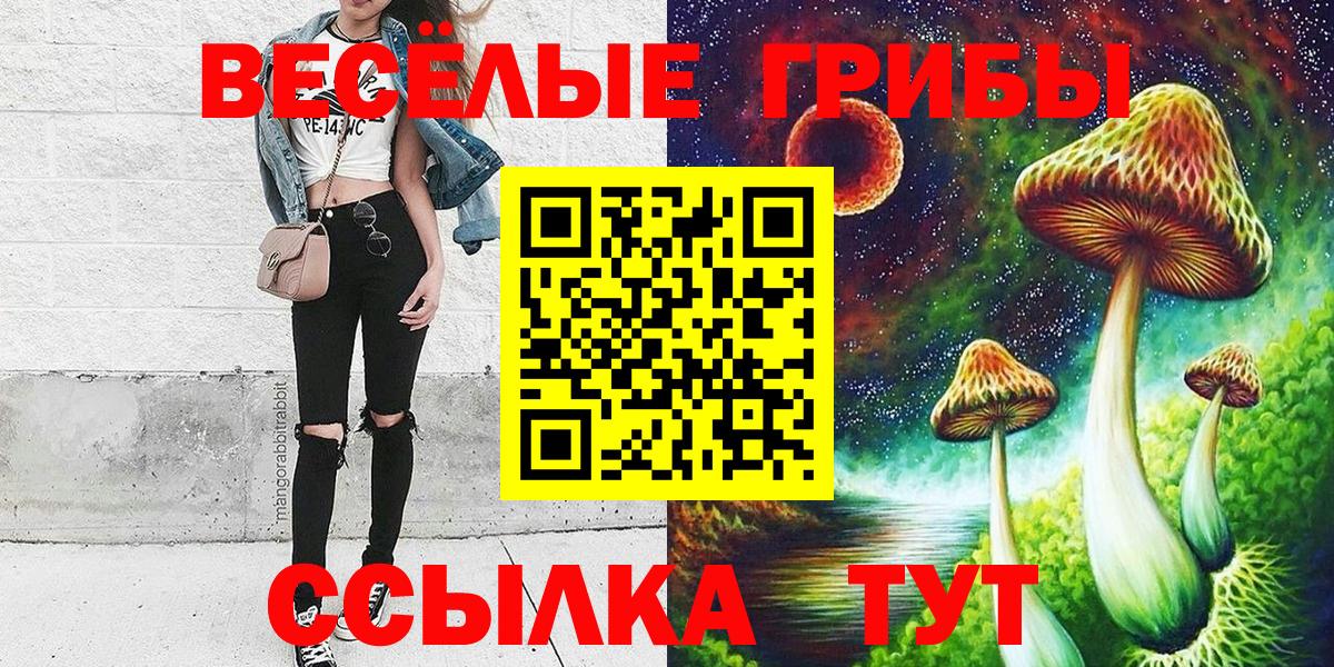Галлюциногенные грибы Magic Shrooms Москва