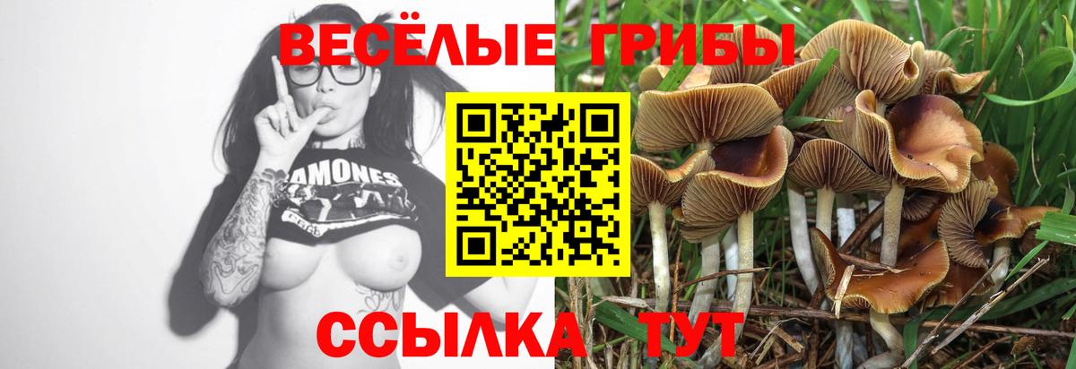 Москва  Псилоцибиновые грибы Magic Shrooms  наркота  Псилоцибиновые грибы ЛСД  Вход с VPN 